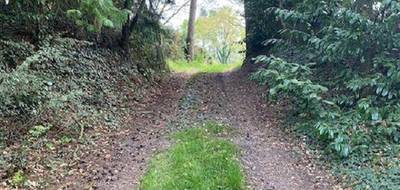 Terrain seul à Molac en Morbihan (56) de 2530 m² à vendre au prix de 128000€ - 3
