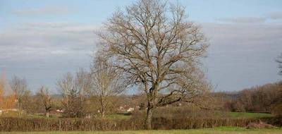 Terrain seul à Paray-le-Monial en Saône-et-Loire (71) de 5134 m² à vendre au prix de 149000€ - 2