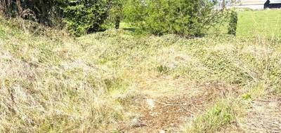 Terrain seul à Marest-Dampcourt en Aisne (02) de 503 m² à vendre au prix de 38990€ - 4