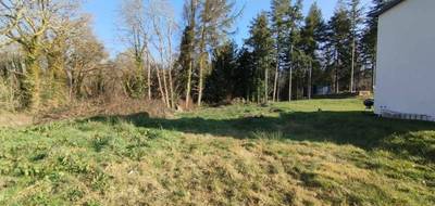 Terrain seul à Landévant en Morbihan (56) de 404 m² à vendre au prix de 106000€ - 3