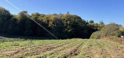 Terrain seul à Bonnac-la-Côte en Haute-Vienne (87) de 1360 m² à vendre au prix de 29900€ - 3