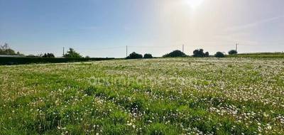 Terrain seul à Fonsomme en Aisne (02) de 4834 m² à vendre au prix de 85000€ - 3