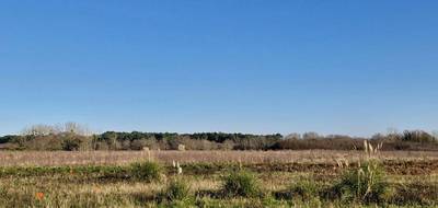 Terrain seul à Riantec en Morbihan (56) de 301 m² à vendre au prix de 79000€ - 4