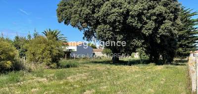 Terrain seul à Saint-Pierre-d'Oléron en Charente-Maritime (17) de 2315 m² à vendre au prix de 439000€ - 1