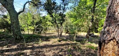 Terrain seul à Les Adrets-de-l'Estérel en Var (83) de 5909 m² à vendre au prix de 450000€ - 3