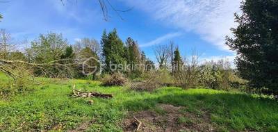 Terrain seul à Marles-sur-Canche en Pas-de-Calais (62) de 1000 m² à vendre au prix de 50000€ - 2