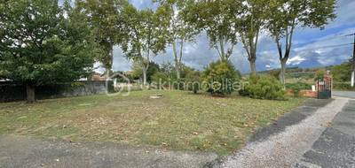 Terrain seul à Rabastens en Tarn (81) de 385 m² à vendre au prix de 55000€ - 3