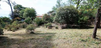 Terrain seul à Rocbaron en Var (83) de 1654 m² à vendre au prix de 212000€ - 1