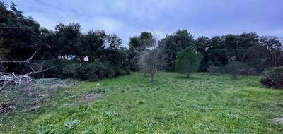 Terrain seul à Castelnau-le-Lez en Hérault (34) de 990 m² à vendre au prix de 756000€ - 1