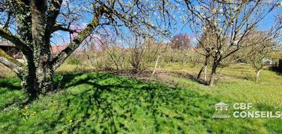 Terrain seul à Oslon en Saône-et-Loire (71) de 637 m² à vendre au prix de 69000€ - 3