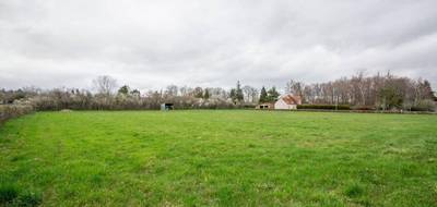 Terrain seul à Montvicq en Allier (03) de 6317 m² à vendre au prix de 43000€ - 4