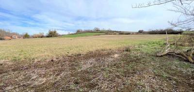 Terrain seul à Daumazan-sur-Arize en Ariège (09) de 5339 m² à vendre au prix de 71000€ - 3