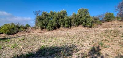Terrain seul à Caunes-Minervois en Aude (11) de 1600 m² à vendre au prix de 78000€ - 2