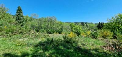 Terrain seul à Saint-Rémy-sur-Durolle en Puy-de-Dôme (63) de 5990 m² à vendre au prix de 44500€ - 2