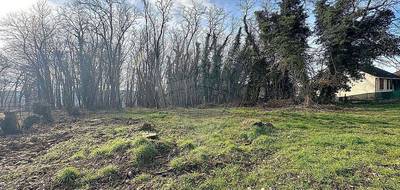 Terrain seul à Nailly en Yonne (89) de 1690 m² à vendre au prix de 35000€ - 1