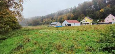 Terrain seul à Philippsbourg en Moselle (57) de 1172 m² à vendre au prix de 55000€ - 3