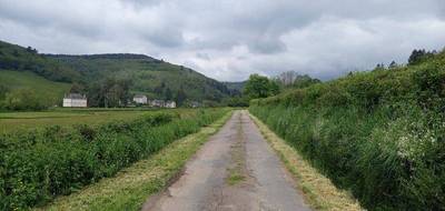 Terrain seul à Lucenay-l'Évêque en Saône-et-Loire (71) de 10000 m² à vendre au prix de 77000€ - 3