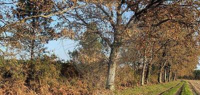 Terrain seul à Tartas en Landes (40) de 42134 m² à vendre au prix de 31000€ - 4