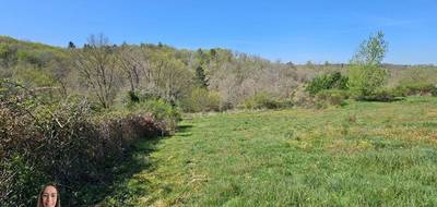 Terrain seul à Noailles en Corrèze (19) de 3000 m² à vendre au prix de 34990€ - 3