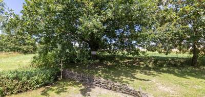 Terrain seul à Guenviller en Moselle (57) de 1110 m² à vendre au prix de 84000€ - 3