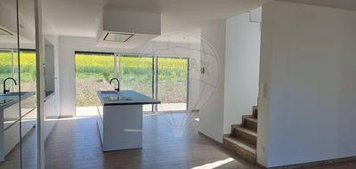 Programme terrain + maison à Amnéville en Moselle (57) de 162 m² à vendre au prix de 499000€ - 3