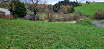 Terrain seul à Saint-Didier-en-Velay en Haute-Loire (43) de 6800 m² à vendre au prix de 105000€ - 2