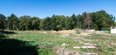 Terrain seul à Dreuilhe en Ariège (09) de 2594 m² à vendre au prix de 42000€ - 4