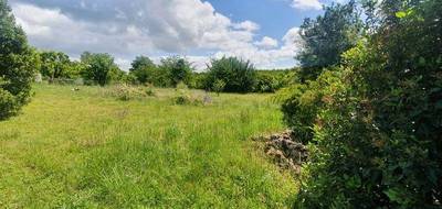 Terrain seul à Ruelle-sur-Touvre en Charente (16) de 1309 m² à vendre au prix de 85000€ - 3