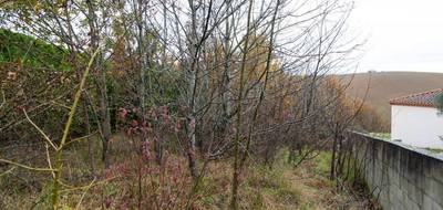 Terrain seul à Nailloux en Haute-Garonne (31) de 5457 m² à vendre au prix de 250000€ - 3