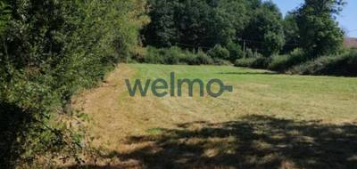 Terrain seul à Montluçon en Allier (03) de 4786 m² à vendre au prix de 48000€ - 4