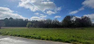 Terrain seul à Paussac-et-Saint-Vivien en Dordogne (24) de 2543 m² à vendre au prix de 29500€ - 4