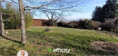 Terrain seul à Vindry-sur-Turdine en Rhône (69) de 800 m² à vendre au prix de 165000€ - 4
