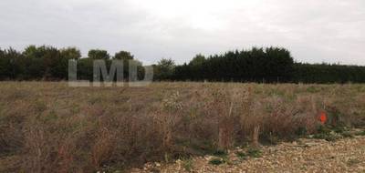 Terrain seul à Mazeray en Charente-Maritime (17) de 13000 m² à vendre au prix de 85000€ - 3