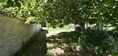 Terrain seul à Vérines en Charente-Maritime (17) de 595 m² à vendre au prix de 79000€ - 3