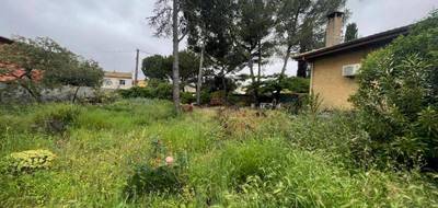 Terrain seul à Pomérols en Hérault (34) de 559 m² à vendre au prix de 199000€ - 2