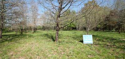 Terrain seul à Casteljaloux en Lot-et-Garonne (47) de 1029 m² à vendre au prix de 39000€ - 1