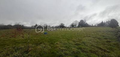 Terrain seul à Plumelec en Morbihan (56) de 2400 m² à vendre au prix de 105000€ - 4
