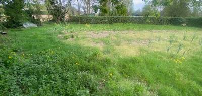 Terrain seul à Molac en Morbihan (56) de 1000 m² à vendre au prix de 62000€ - 2