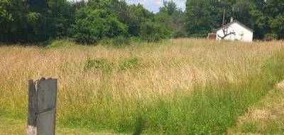 Terrain seul à Couffy en Loir-et-Cher (41) de 2142 m² à vendre au prix de 54256€ - 3