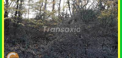 Terrain seul à Lunery en Cher (18) de 0 m² à vendre au prix de 15000€ - 1