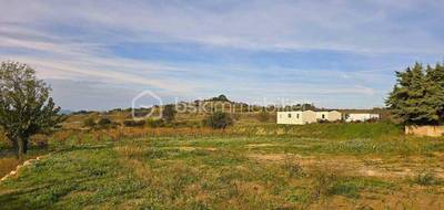 Terrain seul à Saint-Pargoire en Hérault (34) de 534 m² à vendre au prix de 145000€ - 4