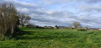 Terrain seul à La Celle-Saint-Avant en Indre-et-Loire (37) de 7800 m² à vendre au prix de 324500€ - 1