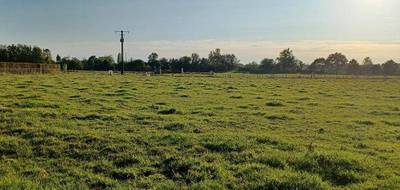 Terrain seul à Nointot en Seine-Maritime (76) de 850 m² à vendre au prix de 54000€ - 3