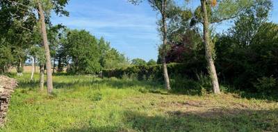 Programme terrain + maison à La Vendue-Mignot en Aube (10) de 135 m² à vendre au prix de 299000€ - 3