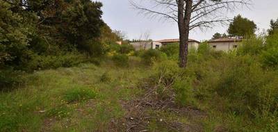 Terrain seul à Saint-Maximin-la-Sainte-Baume en Var (83) de 2000 m² à vendre au prix de 220000€ - 3