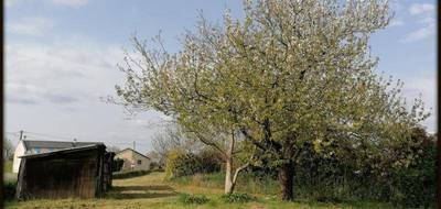 Terrain seul à Lombia en Pyrénées-Atlantiques (64) de 2015 m² à vendre au prix de 33000€ - 2