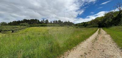 Terrain seul à Quenne en Yonne (89) de 4097 m² à vendre au prix de 19000€ - 3