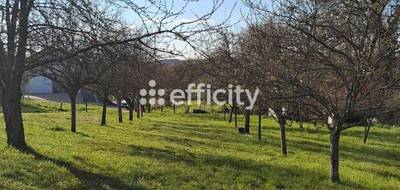 Terrain seul à Ancier en Haute-Saône (70) de 1649 m² à vendre au prix de 26000€ - 4