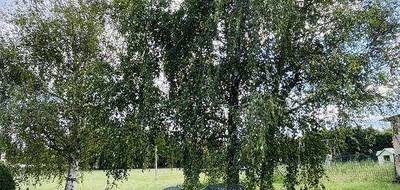 Terrain seul à Prissé en Saône-et-Loire (71) de 3000 m² à vendre au prix de 450000€ - 3