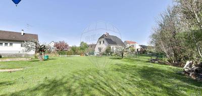 Terrain seul à Neuwiller en Haut-Rhin (68) de 729 m² à vendre au prix de 159000€ - 2